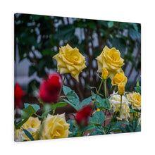 Load image into Gallery viewer, Canvas Wall Art