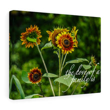 Load image into Gallery viewer, Canvas Wall Art