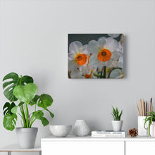 Load image into Gallery viewer, Canvas Wall Art